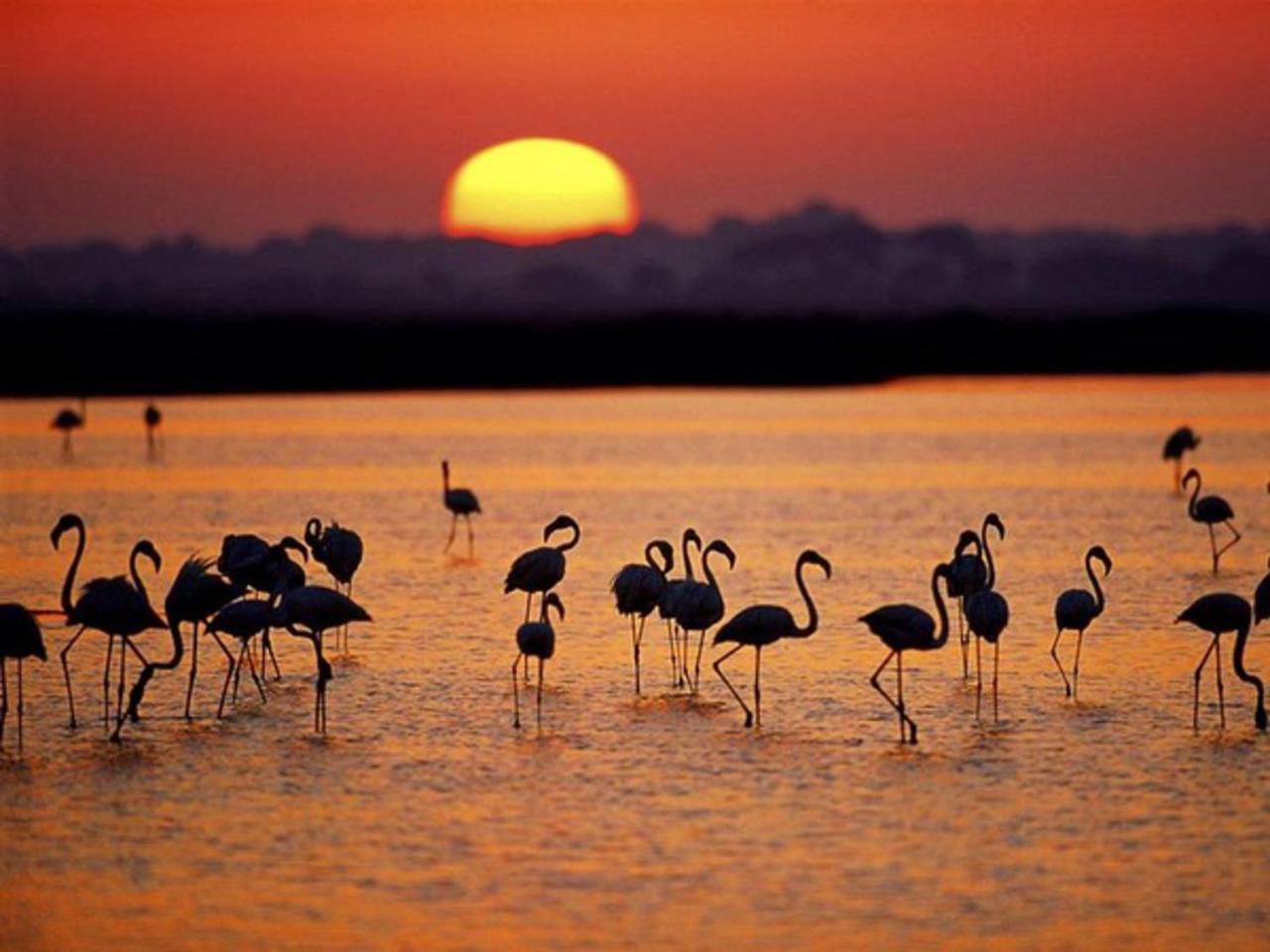 Alojamiento Rural Flamingo 엘로시오 외부 사진